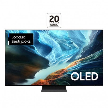 Samsung QE48S90HAEXXH 4K OLED