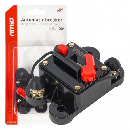 Automaatne autokaitse 12-48V 100A