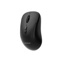 GEMBIRD Dual-mode 7-button wireless mouse 2.4G + BT black