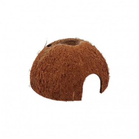 Terrarium decor : Repti Planet Coco Shell M
