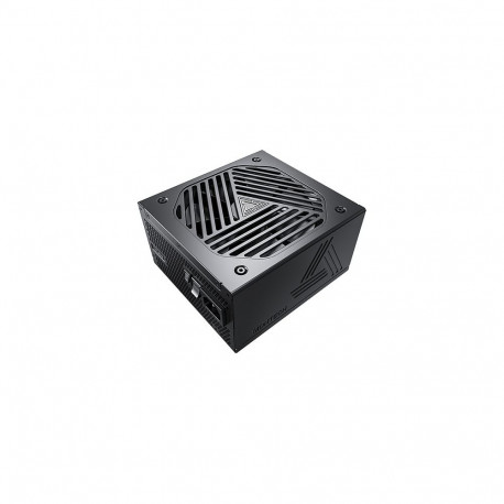 Titan Gold 1000W, 80 PLUS Cybenetics Gold, modulaarne, PCIe 5.0, 1000W