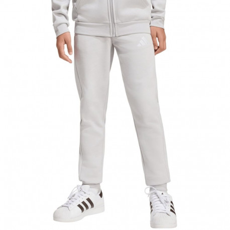 adidas laste dressipüksid Entrada 26 JZ9137 164cm, hall