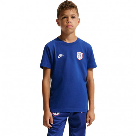 Nike laste jalgpallisärk Chelsea FC Premier IQ5003 495, sinine