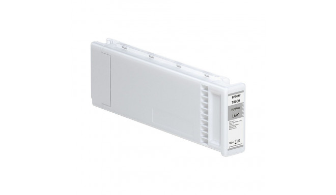 "Epson T8009 Grau 700ml"