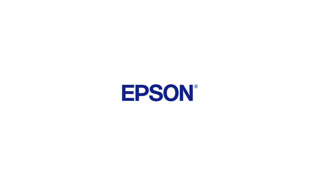 "Epson T8007 Dunkles Grau 700ml"