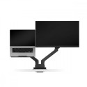 Arm ERGO ARM LTB01 5A.A3F44.LBW