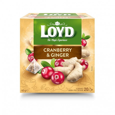 Tee LOYD jõhvika- ja ingverimaitseline 20 x 2g