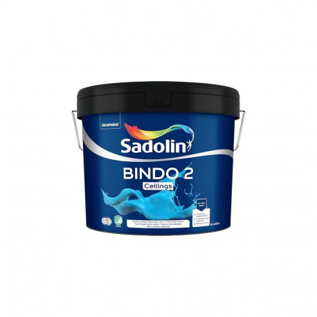 PAINT BINDO 2 BW 9L