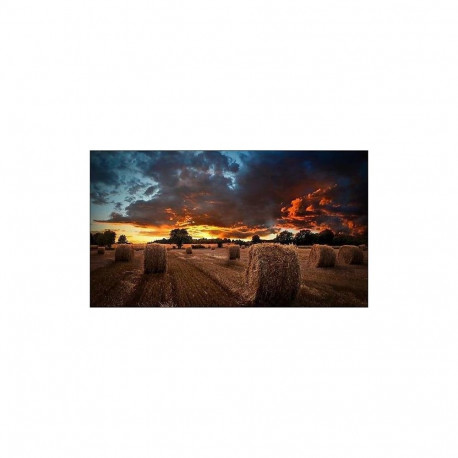 Monitor 55 inch VM55B-U LH55VMBUBGBXEN
