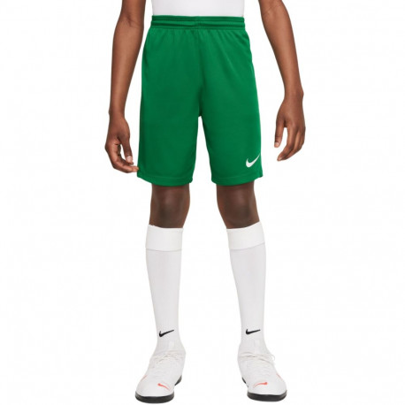Nike laste lühikesed püksid Dry Park III NB K BV6865 302, rohelised