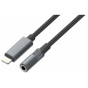 D-Fruit adapter Lightning - 3,5mm DF127