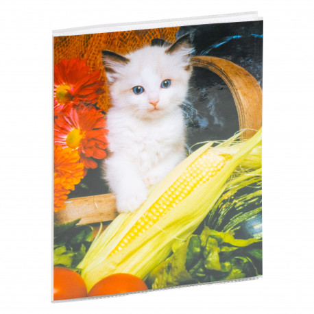 Album P2-6824 15x20/24, assorted