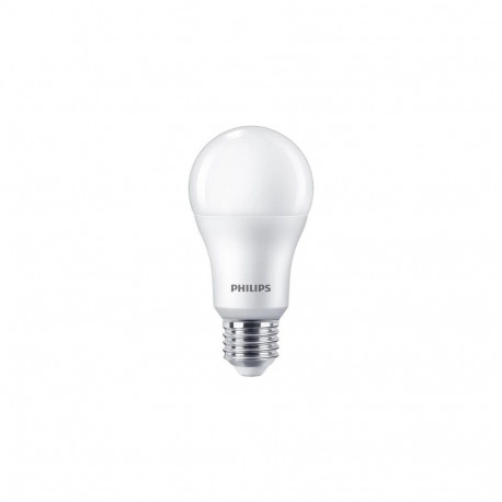 Philips Bulb 100W A60 E27