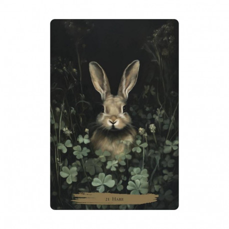 Oracle Card Deck - Haunted Cottage Oracle Cards Llewellyn 45 Cards, English 恒一