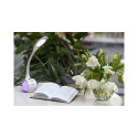 Activejet LED-laualamp AJE-RAINBOW RGB-valgustusega alusega