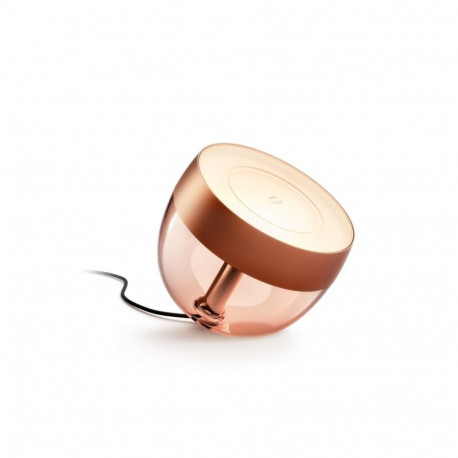 Philips Hue Iris Portable lamp, Copper special edition