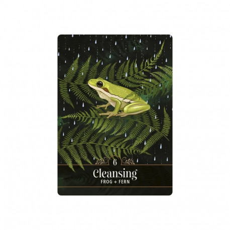 Oracle Card Deck - Hay House The Familiar Magic Pocket Oracle Cards 44 Cards 10 × 7.5 × 3.5 cm