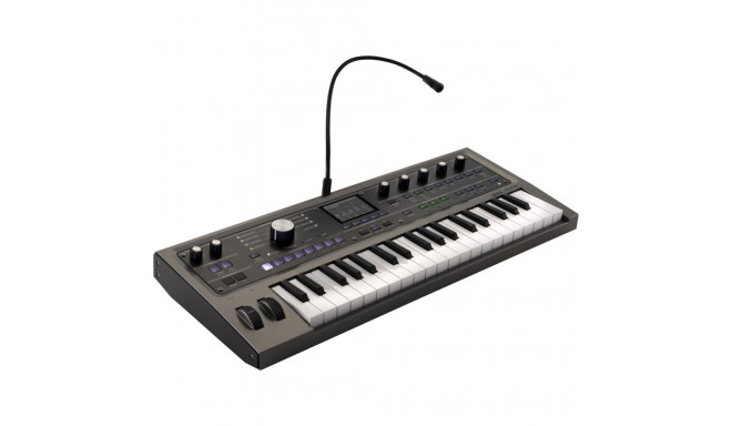 Synthesizer - KORG MicroKORG2 37-Key 4-Voice 256 Programs Black, Graphite