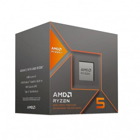 AMD Ryzen 5 8600G BOX