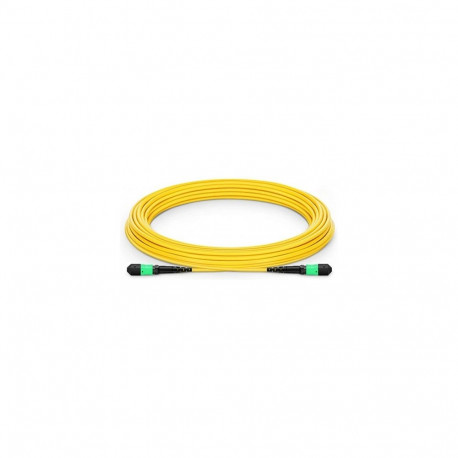 "NVIDIA passive fibre cable SMF MPO12 APC MPO12 10m"