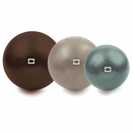 Toorx Liveness Gym ball AYP-003 D75cm with pump