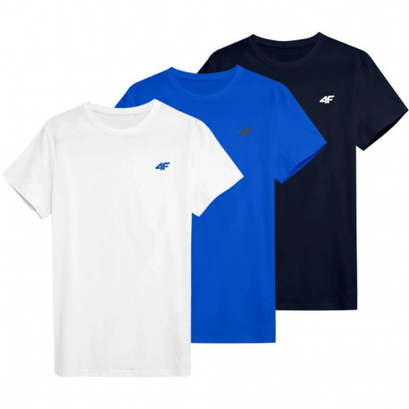 4F meeste T-särk M4479 4FWSS26TTSHM4479 90S 4XL, valge, sinine, tumesinine