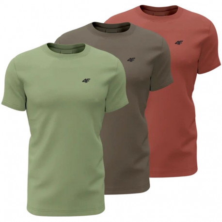 4F meeste T-särk M4480 4FWSS26TTSHM4480 90S L, roheline, pruun, bordoopunane