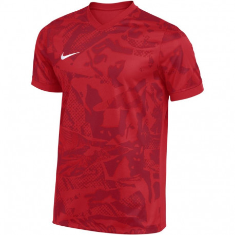 Nike meeste T-särk Dri-Fit Precision VII FZ9332 657 L, punane