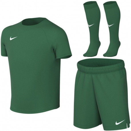 Nike väikelaste spordikomplekt Dri-Fit Park VIII HV8260 302 M, roheline