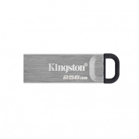 Kingston MEMORY DRIVE FLASH USB3.2/256GB DTKN/256GB