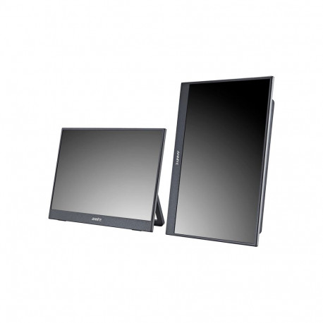 ANMITE A140W05T 14" Portable Monitor