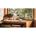 PETLIBRO SCOUT SMART AI CAMERA