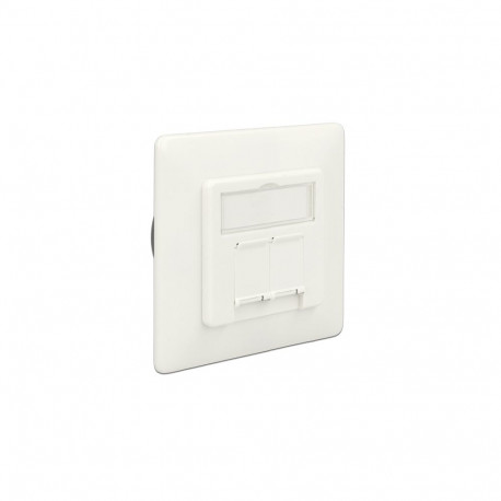 Seinapesa 2xRJ45 CAT6a süvistatav, valge
