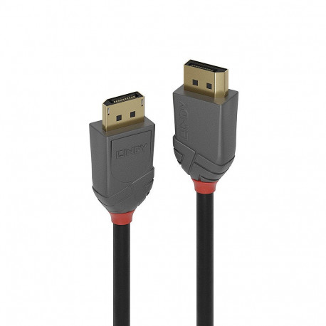 DisplayPort kaabel 10.0m, 4K 4096x2160@60Hz, ANTHRA