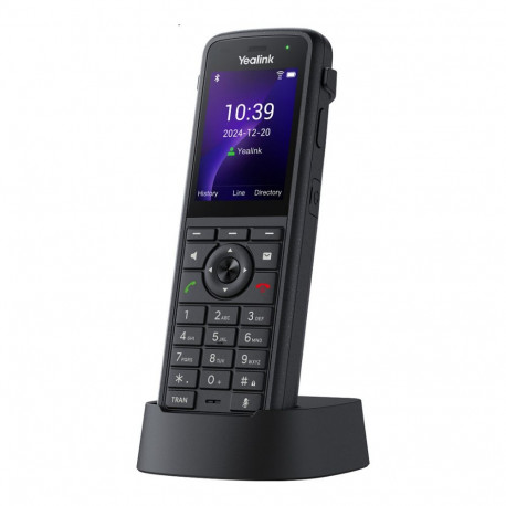 "- Wireless VoIP phone"