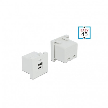 Delock Easy 45 USB Charging Port Module 1 x Type-A + 1 x USB Type-C™