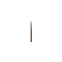 "CANDLE PAPSTAR Kerzen 25 cm puder"
