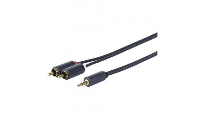 3.5MM - 2 X RCA M-M