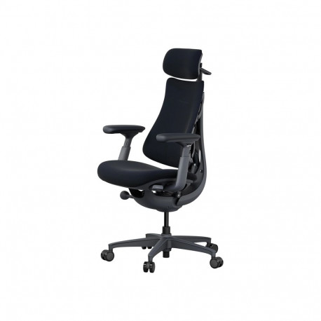 LiberNovo Omni 45 cm Ergonomic Chair (Black)