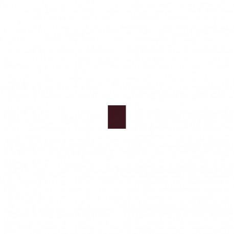 Inebrya Bionic Color (100ml) (5/5 Light Chestnut Mahogany)
