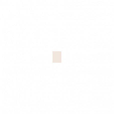 Inebrya Bionic Color Super Lighteners (100ml) (11/0 Superlight Blonde Platinum)