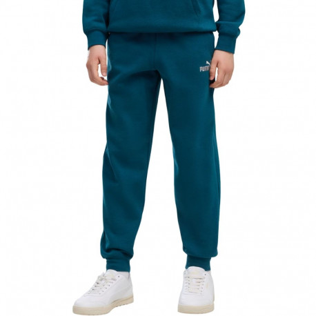 Puma laste püksid ESS 2 Color No. 1 Logo 685824 36 140cm, türkiissinine