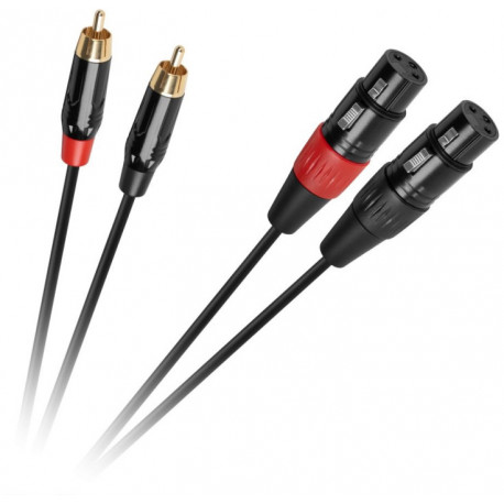Cabletech kaabel 2xXLR - 2xRCA 1m