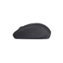 Trust Primo Wireless Mouse