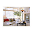 Beper P203PAN002