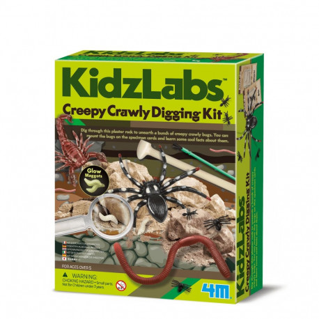 4M DIY set Creepy crawly digging