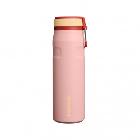 WATERBOTT BOTT TWI FLIP 0.7L PEACH