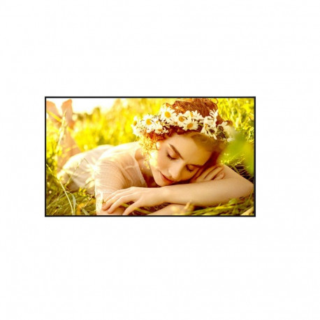 Monitor 65UL5Q-M 500cd/m2 UHD 24/7