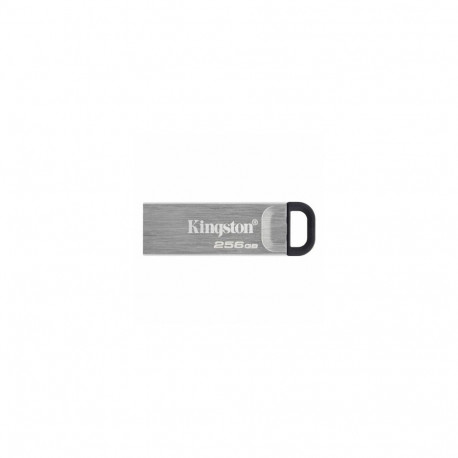Kingston 256GB Kyson USB 3.2 Gen 1 Silver DTKN/256GB