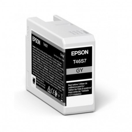 Ink Cartridge - Epson C13T46S700 Ink Gray 26 ml
